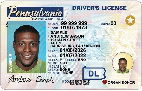 Driver Licenses & ID Cards .